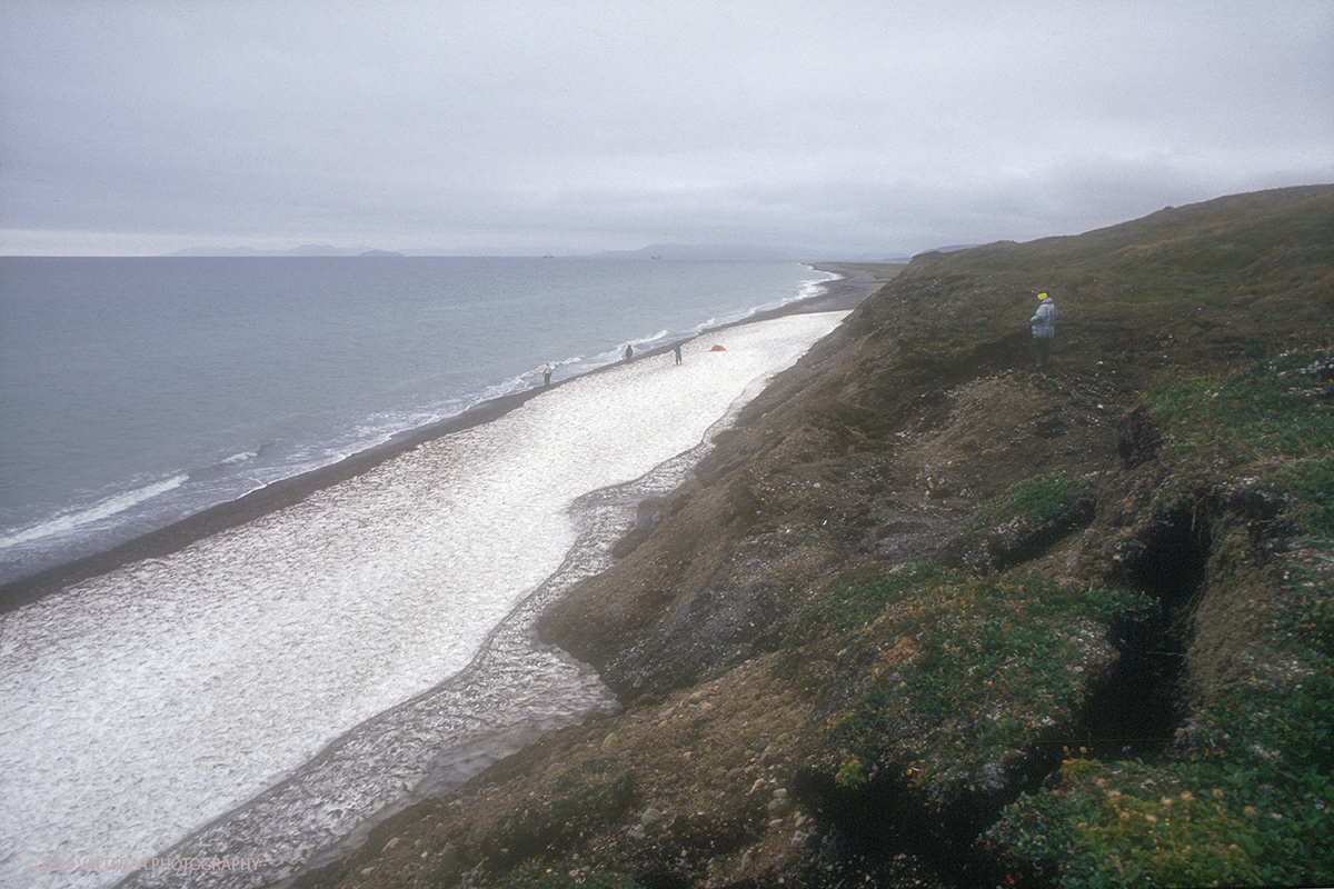 39 SIBERIA.jpg - Luglio/Agosto 1992. Siberia, terra dei Chukchi. Nell'oceano artico  125 Km a nord-est della penisola dei Chukchi (Siberia) c'Ã¨  l'isola di Wrangel, essa ospita piÃ¹ del doppio di specie vegetali (417) di qualsiasi territorio artico a paritÃ  di superficie nonchÃ¨ 30 specie diverse di uccelli oltre ad orsi polari, foche e trichechi ; per questo motivo   Ã¨ stata proclamata patrimonio dell'umanitÃ  dall'UNESCO. Nella foto la costa sud orientale dell'isola di Arakamchechen, parco naturale tappa verso Wrangel.